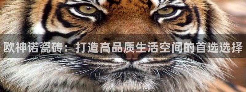 必一运动·(B-Sports)土豆