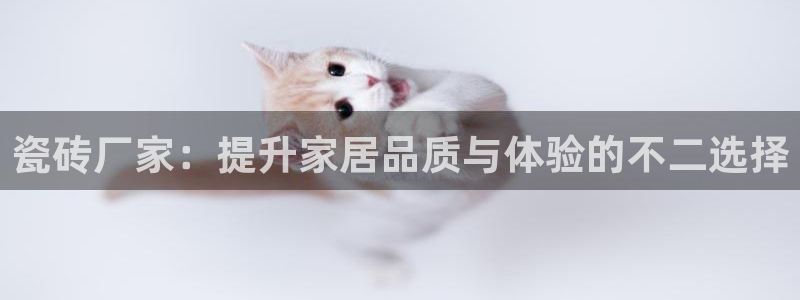必一体育周公