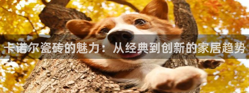 必一运动·(b-sports)官方网站