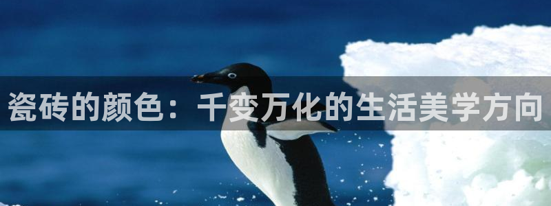 必一体育黑平台