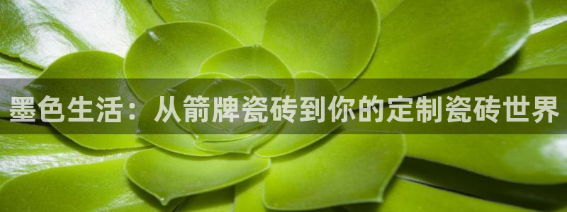 必一体育sport下载