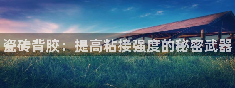 必一体育sportB体育