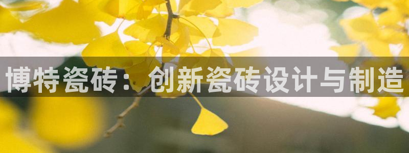 必一体育app官方网站
