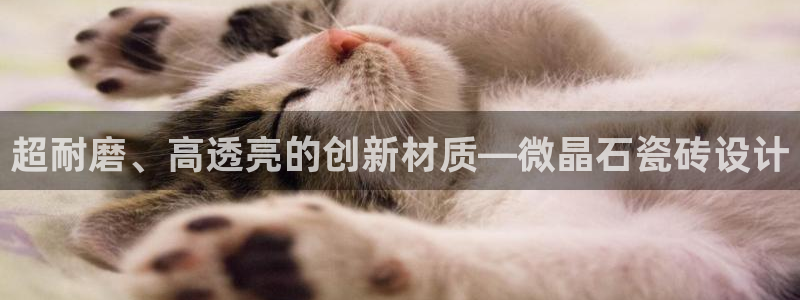必一体育皮尔斯