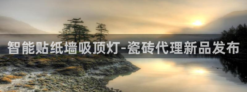 必一体育是啥