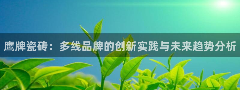 必一体育APP
