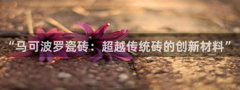 Bsport体育app必一