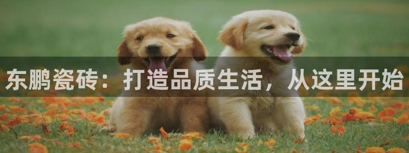 必一体育网站