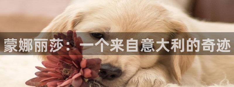 必十二和必一的副作用