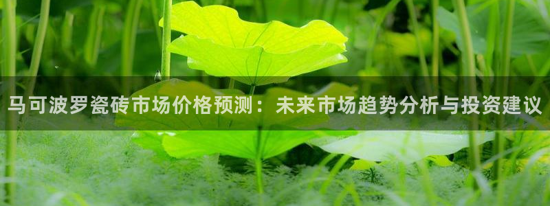 必一运动 b 体育素描版