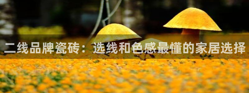 必一运动 b 体育素描版