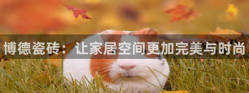 必一体育官网app