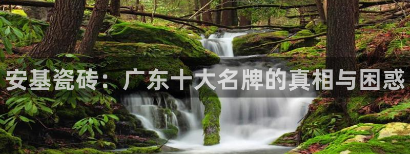 必一体育app下载装机吧