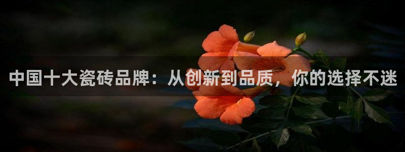 必一体育运动下载