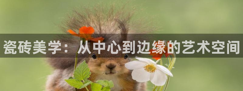 必一体育app下载装机吧