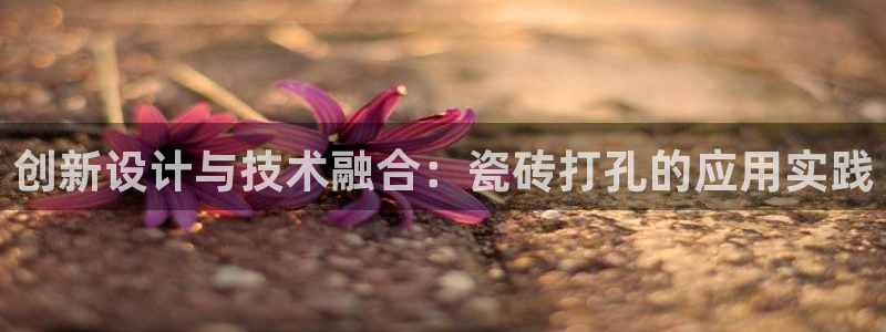 必一体育是哪里的台子