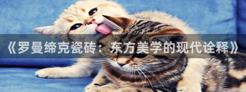 必一体育网站