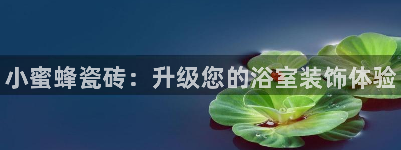 b体育必一运动网页版在线登录入口