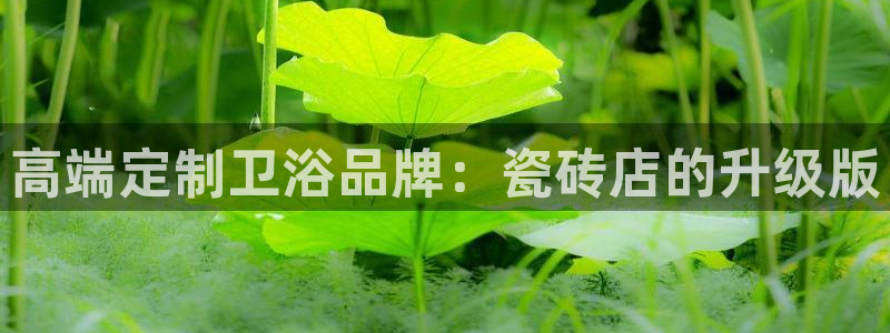 必一体育下载一样吗