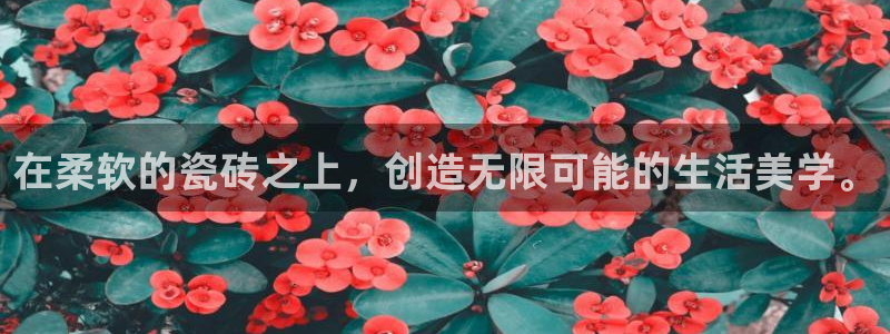 必一体育网址