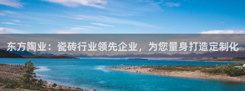 必一体育bsport下载