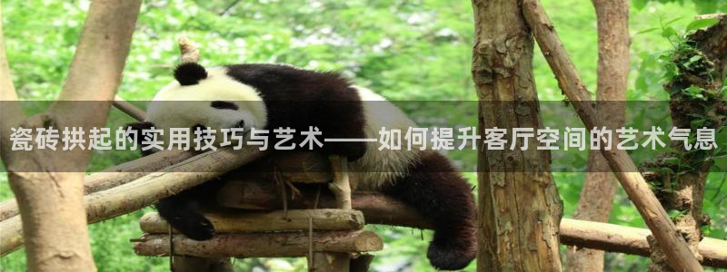 必一体育运动官网