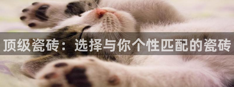 必一体育可靠吗