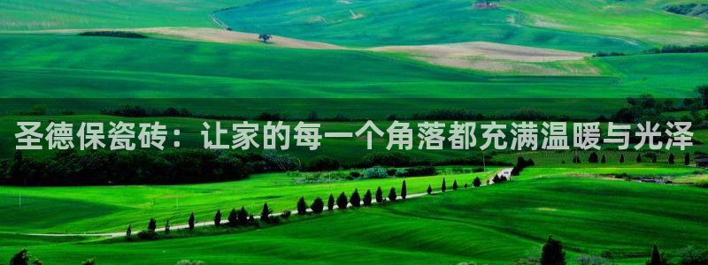 必一体育黑平台