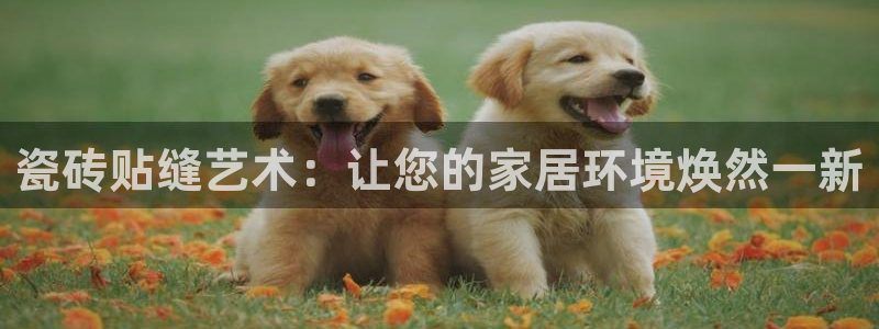 必一运动tieba.baidu.com