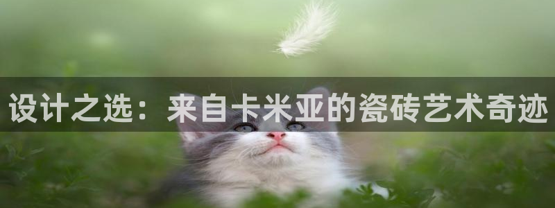 必一体育sport装机吧