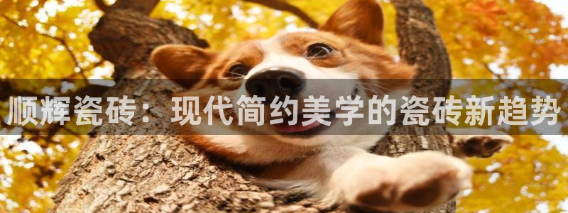 必一体育登录入口APP