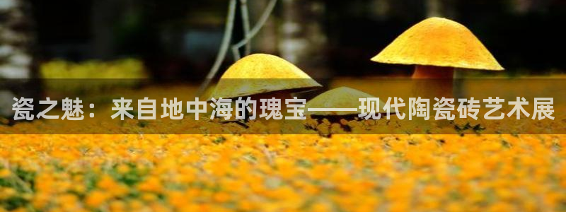 必一体育在线入口