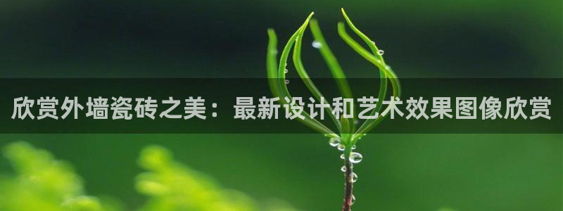 必一运动B-Sport官方网站入口