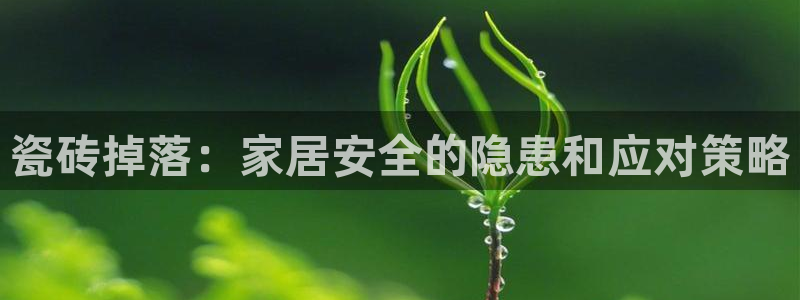 必一体育app下载最新版本