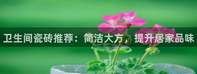 必一体育是哪里的台子