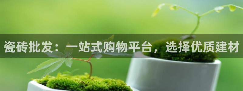 必一体育网页登录版官网