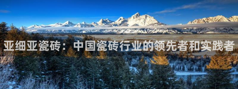 必一体育sport下载