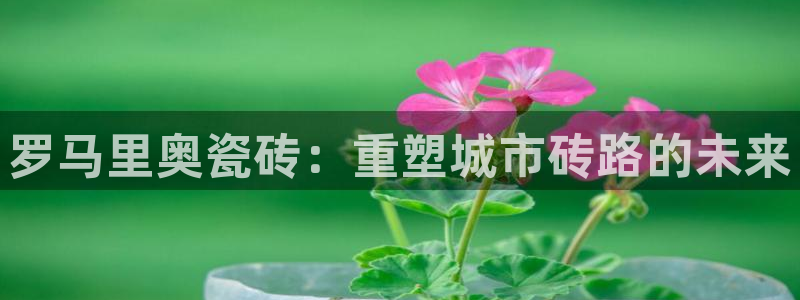 必一体育怎么下载