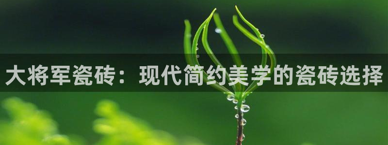 必一体育sport官方网站