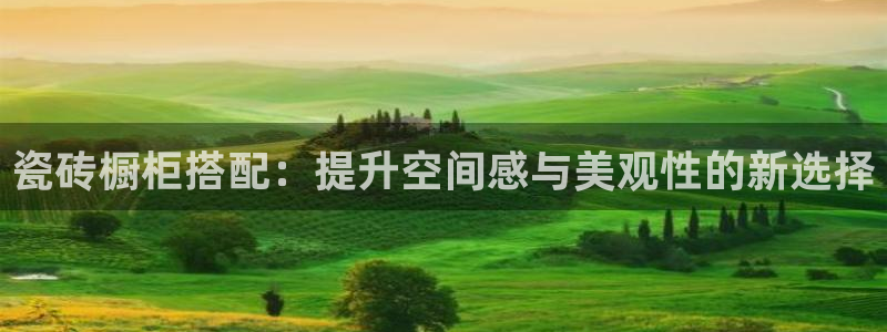 必一体育下载一样吗