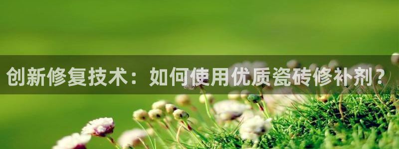 必一体育运动平台官网