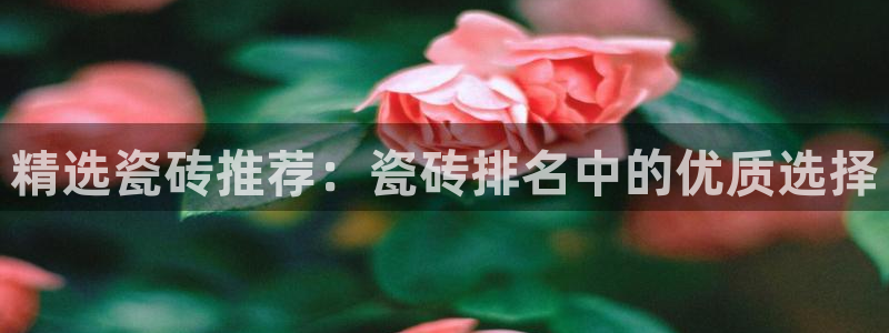 必一体育官网ios下载