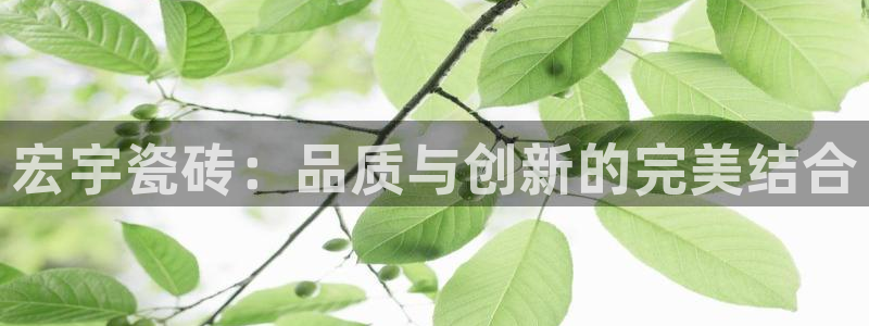 必一运动官网