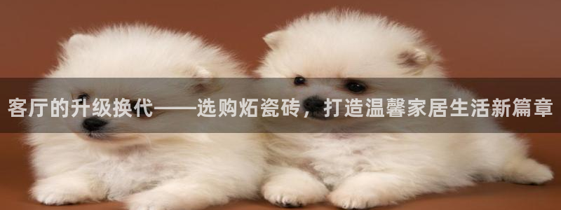 必一体育下载义