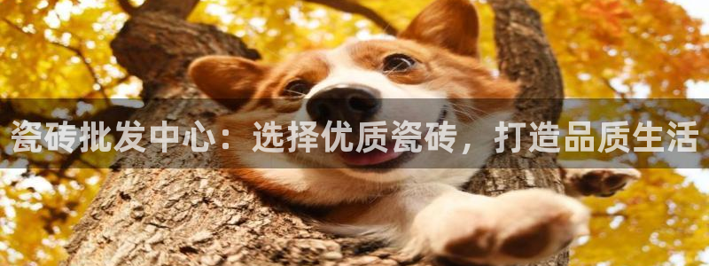 必一体育皮尔斯