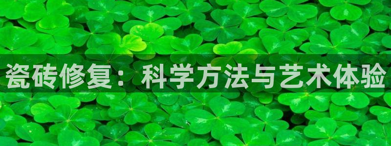 必一体育官网网站