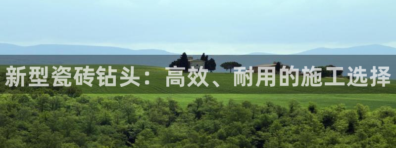 必一运动 b 体育素描版