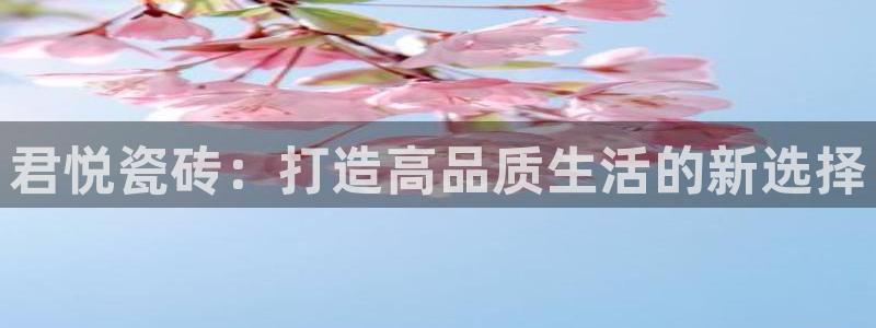 Bsport体育app必一