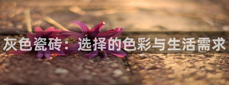 必一体育下载一样吗