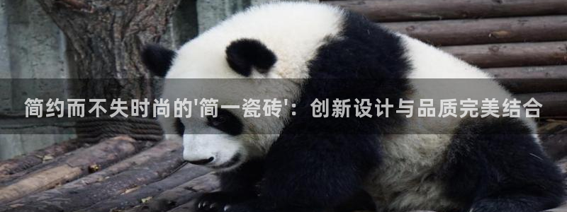 必一体育官网网址